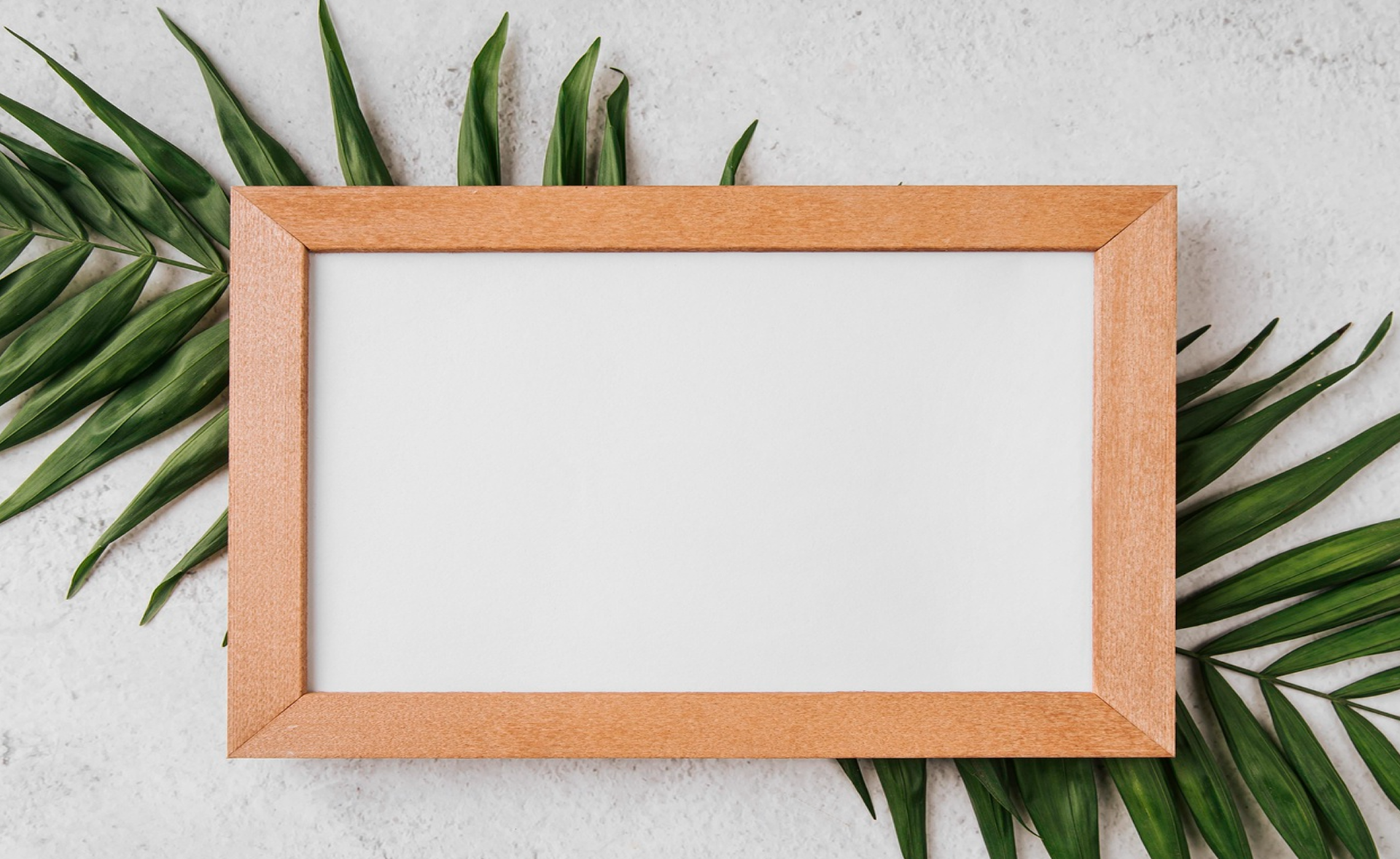 Video Frame Background